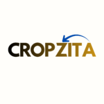 Cocozita 3