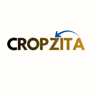 Cocozita 3